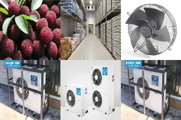 What is a water chiller?1724852935891