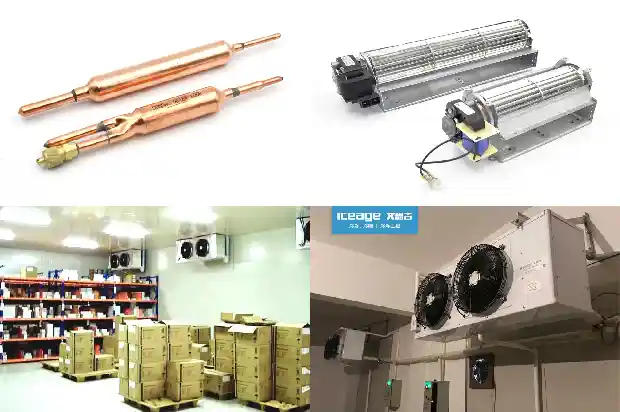 What are the hazards of water leakage in a cold storage?1724940052493
