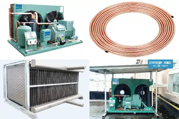 Reasons for Higher Cost of Controlled Atmosphere Cold Storage than Ordinary Cold Storage1725458428451