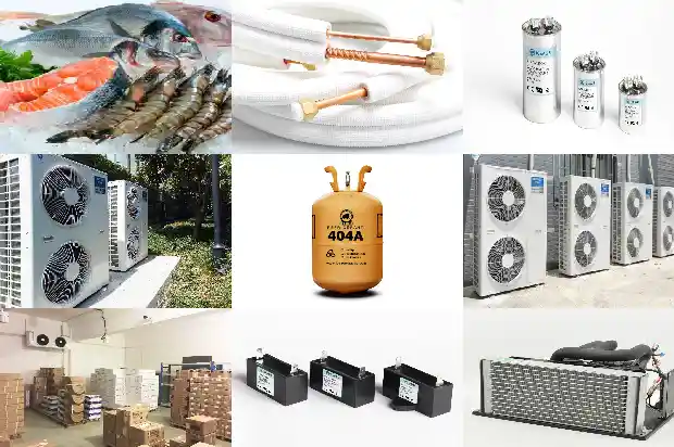 Conditions for Storage of Persimmons in Controlled Atmosphere Cold Storage1726232772526