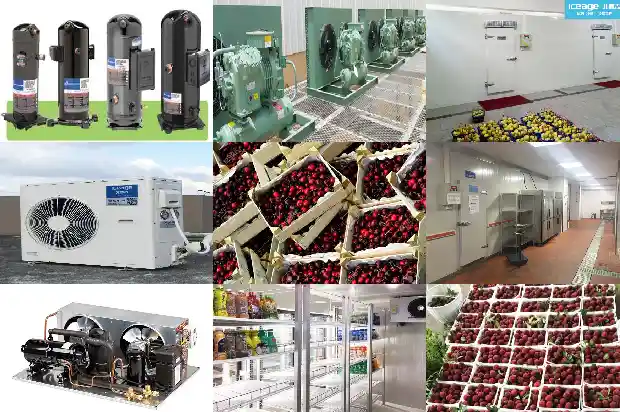 Working Principle of Economizer for Refrigeration Compressor1726464219371