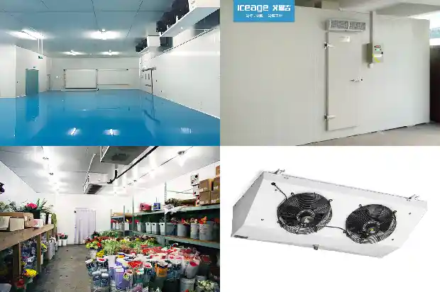 Working Principle of Economizer for Refrigeration Compressor1726464219419