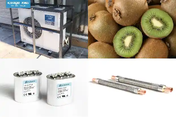 Introduction to Five Classification Functions of Cold Storage Installation for Refrigeration1726464262186