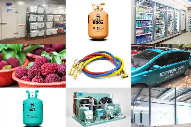 Introduction to Five Classification Functions of Cold Storage Installation for Refrigeration1726464262232