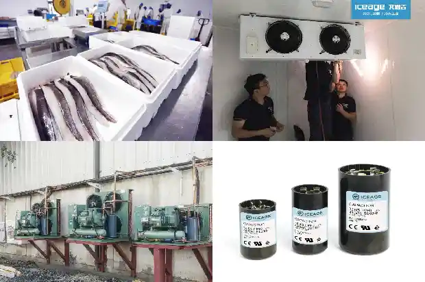 Cold Storage Daily Operation and Maintenance1726552127109