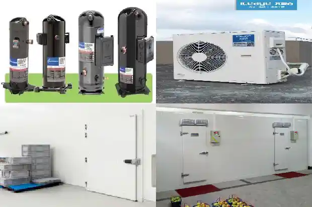 How to Clean the Condenser of Cold Storage Unit?1727064303896