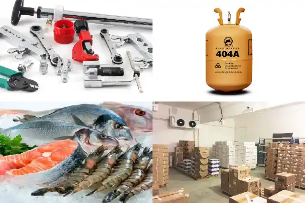 What to Consider Before Building a Cold Storage Facility?1727064349227