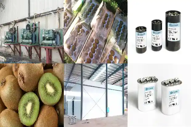 Receiver in Cold Storage Refrigeration System1727699209009