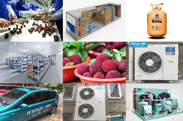 Receiver in Cold Storage Refrigeration System1727699209056