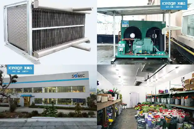 Introduction to Vapor Barrier of Cold Storage and Moisture Protection of Equipment1728219285253