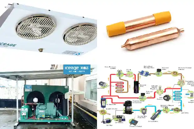 Why Is the Cooling Speed of the Cold Storage So Slow?1735308528963