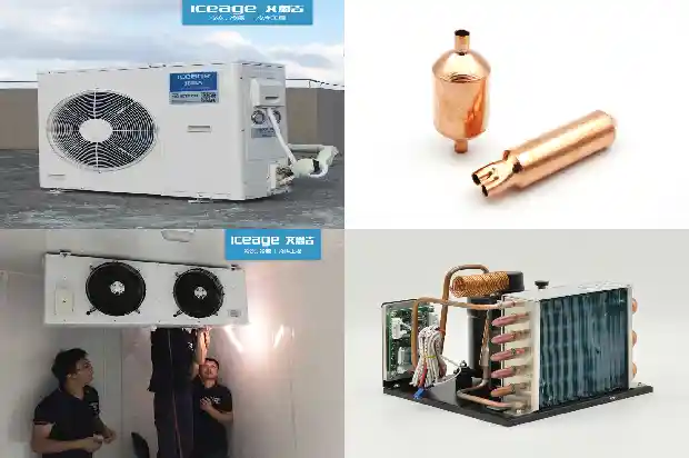 Introduction to the Advantages of Dual - temperature Cold Storage1735623135930