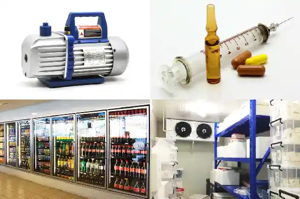 Introduction to the Advantages of Dual - temperature Cold Storage1735623135940