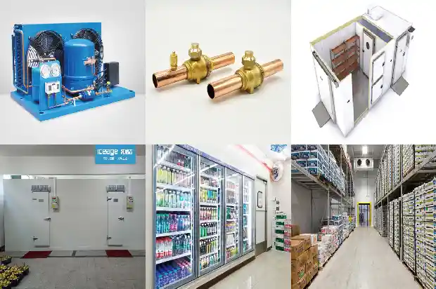 Introduction to the Advantages of Dual - temperature Cold Storage1735623135950