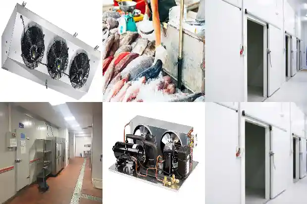 Sensor for Refrigerant Leak Detection in Cold Chain Transportation1735985831340