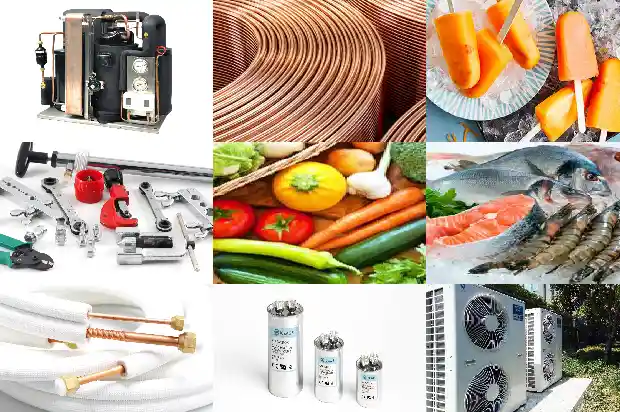 Should Chicken Be Frozen or Refrigerated? 1736152386918 Should Chicken Be Frozen or Refrigerated?1736152386918