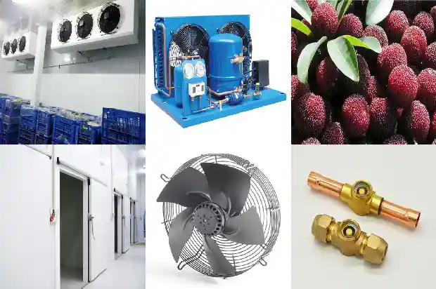 What is the Correct Operation Method of the Distribution Box during Cold Storage Installation?1739542629846