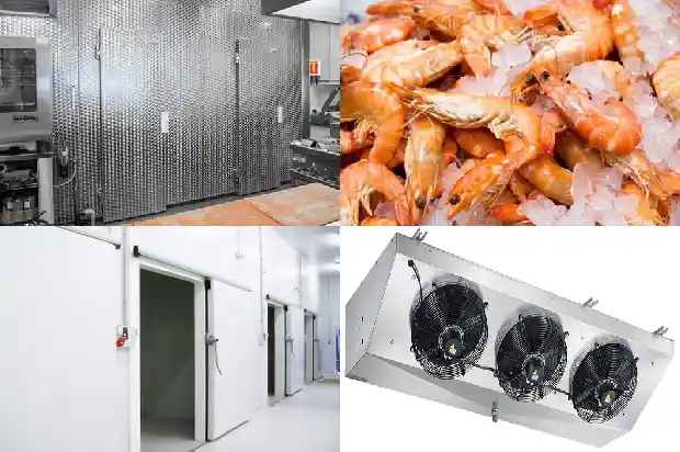 Common Pressure Valves and Protection Devices in Refrigeration Units1739805802690