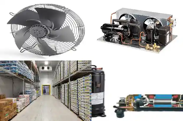 Consequences of System Tripping Due to the Absence of an Anti - siphon Pipe in the Stator Cooling Water System1740415111192