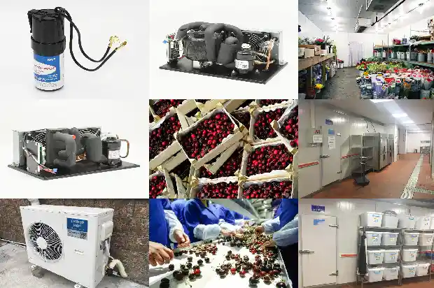 Defrosting Heating Tubes in Refrigeration Devices1740496104673