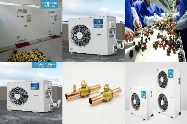 Operation and Precautions of Frozen and Refrigerated Auxiliary Equipment1740559656122
