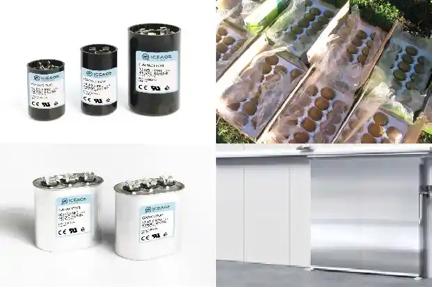 Installation Precautions and Accessory Selection for Cold Storage Unit1740825894387