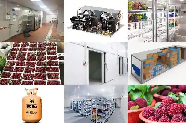 Is the Compressor of the Cold Storage Unit Overheating? Find the Reasons Here!1740922437175