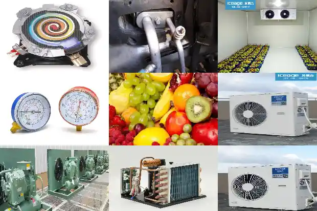 Installation, Inspection and Debugging of the Cold Storage Body1740922509331