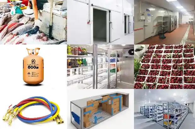 What Factors Affect the Abnormal Operation of the Control Valve in the Cold Storage?1741179175667