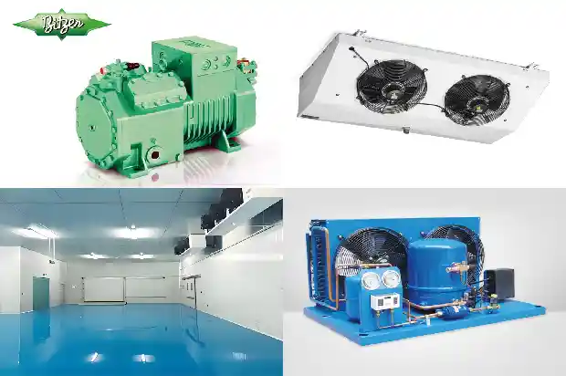 Comprehensive Guide to the Operation and Maintenance of Cold Storage1741450911496
