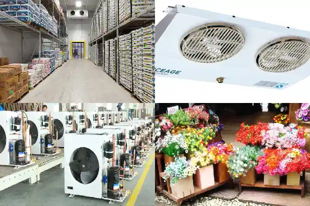 Frosting in the Cold Storage? A Detailed Explanation of the 9 Reasons for Frosting of Air Coolers and 4 Defrosting Methods~~1741623529593