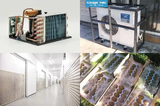Four Major Factors Affecting the Boiling Heat Transfer of Refrigerant Liquid1741623571344