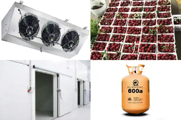 Several Methods of Defrosting in Cold Storage1741623644392