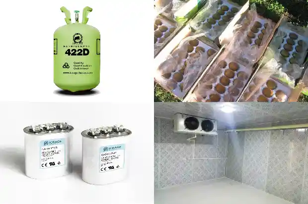 Basic Knowledge of Cold Storage Maintenance1741623683797