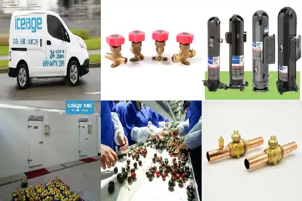Understand These Refrigeration Knowledge to Boost Your Style!1741623722875