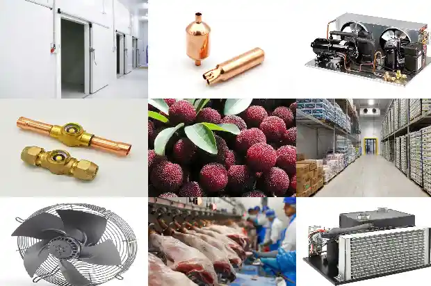 Reasons for the Poor Refrigeration Effect of the Cold Storage1741709515668
