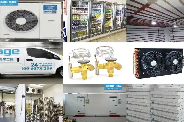 A Brief Analysis of Quick - Freezing Cold Storage Design1741709676777