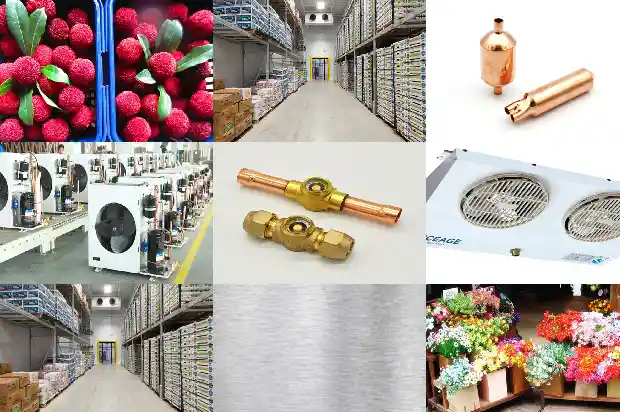 Reasons and Hazards of Liquid Hammer in Refrigeration Compressors1741709887684