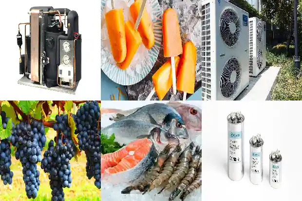 Is the Compressor in the Cold Storage Overheating in Summer? Find the Reasons Here!1741941286377