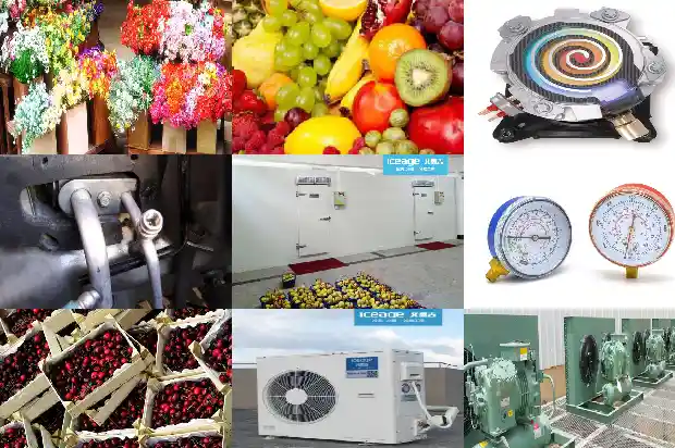 Do You Know All the 34 Components of the Air-cooled Multi-connected Unit?1741941367095