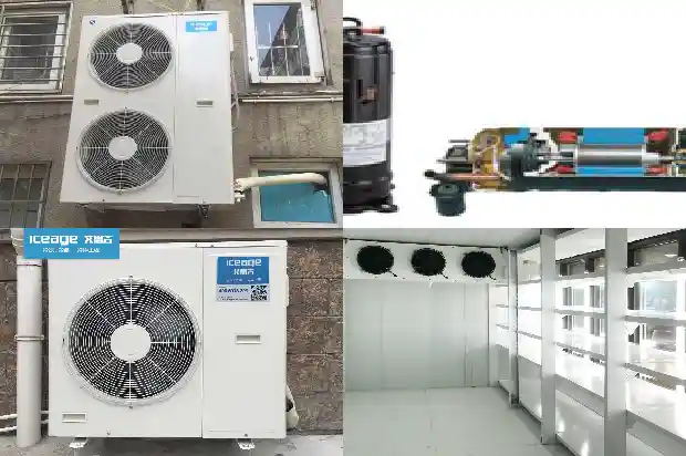 Analysis of Classification, Differences, Advantages and Disadvantages of Cold Storage Refrigeration Compressors1742133222315