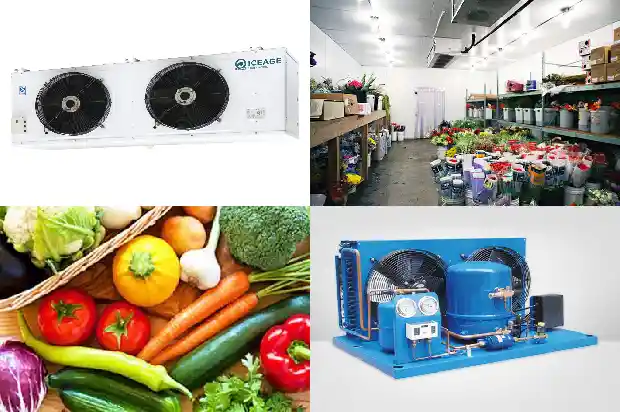 Four Key Steps in the Refrigeration Unit Maintenance Manual!1742133366348