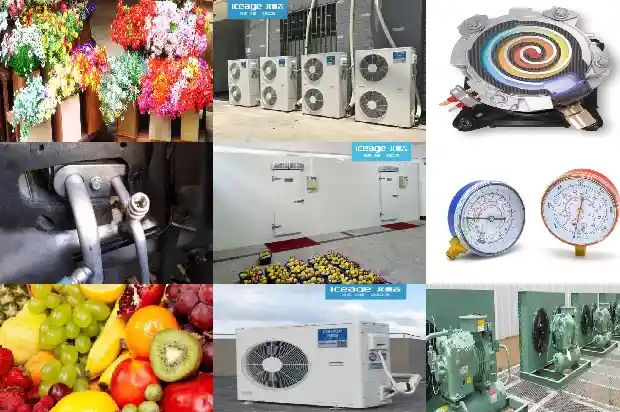 Compare Various Refrigerants: Gain Quick Insights into Each Characteristic1742221150104