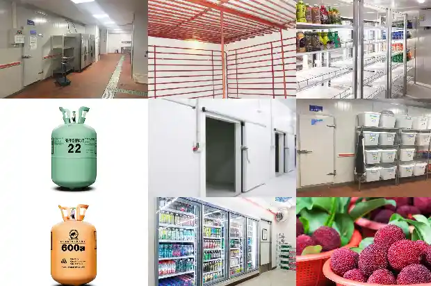 How to Properly Remove Ammonia Refrigerant during Refrigeration Parts Repair1742292511267