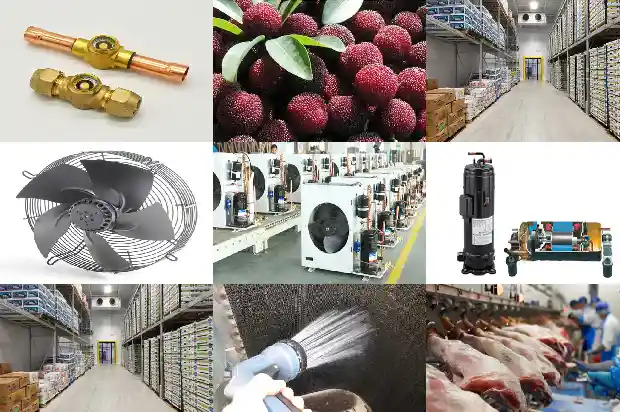 What are the Differences between Controlled Atmosphere Cold Storage Technology and Traditional Cold Storage Technology?1742292579611