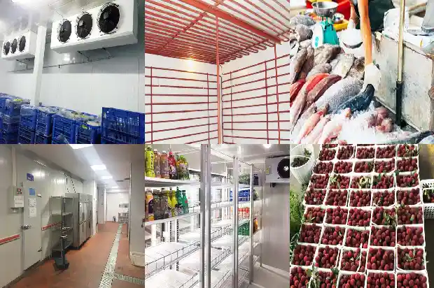 What are the Differences between Controlled Atmosphere Cold Storage Technology and Traditional Cold Storage Technology?1742292579659
