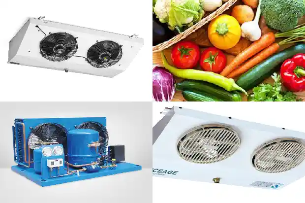 Maintenance Methods for Screw Chiller Units1742292655549
