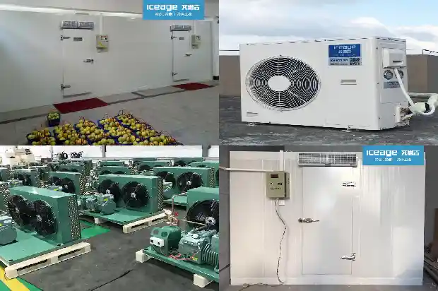 Analyzing the Advantages and Disadvantages of 5 Types of Compressors in Cold Chain Technology1742906098971