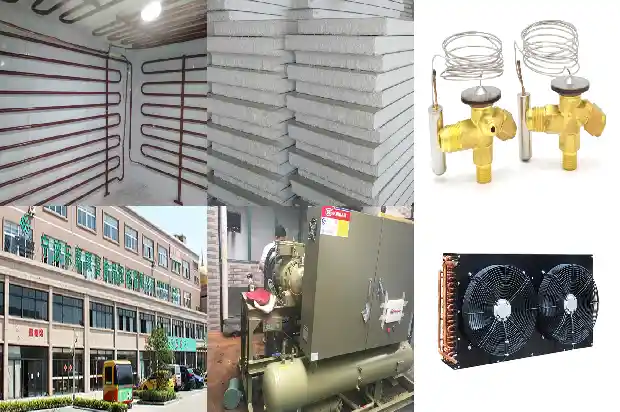Analyzing the Advantages and Disadvantages of 5 Types of Compressors in Cold Chain Technology1742906099017