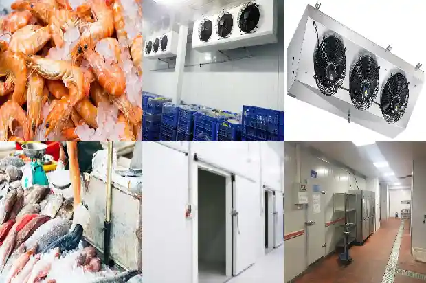 Analyzing the Advantages and Disadvantages of 5 Types of Compressors in Cold Chain Technology1742906099064